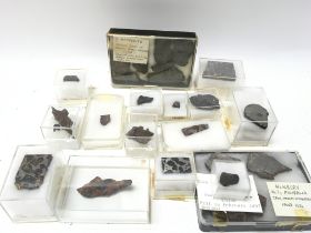 A collection of meteorites including Olivine, Iron