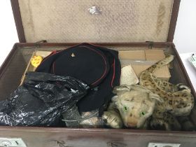 A case containing a Vintage Steiff tiger and small