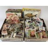 A mixed collection of vintage Cigarette, Tea and sweet cards