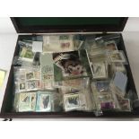 A large quantity of world stamps in albums and loo