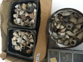 A collection of Antique clay pipe fragments.