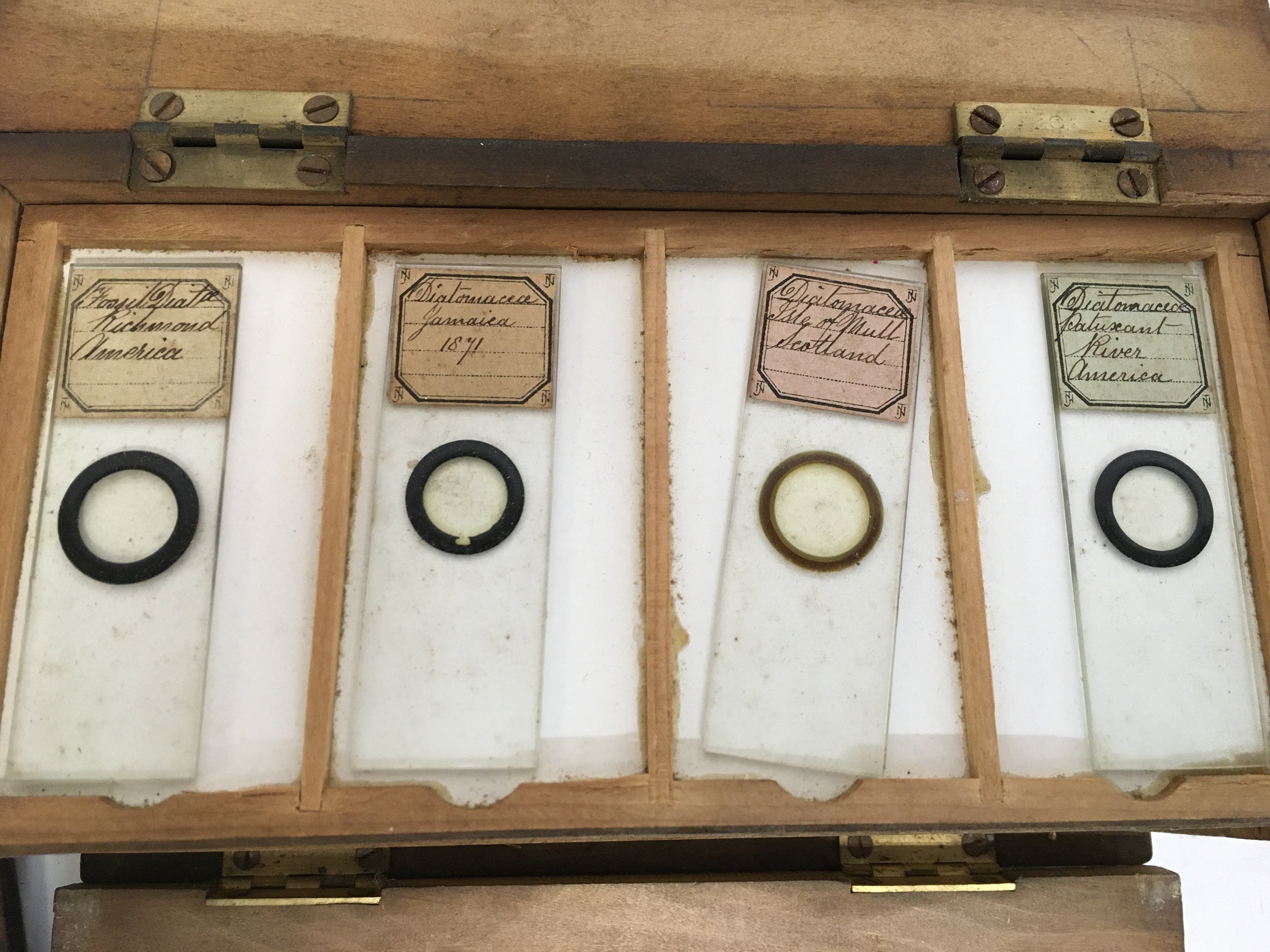 A collection of Victorian Botany and Mineral slide - Bild 3 aus 5