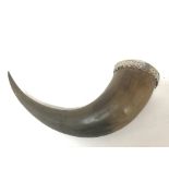 An antique drinking horn with a silver rim, 29cm l