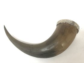 An antique drinking horn with a silver rim, 29cm l