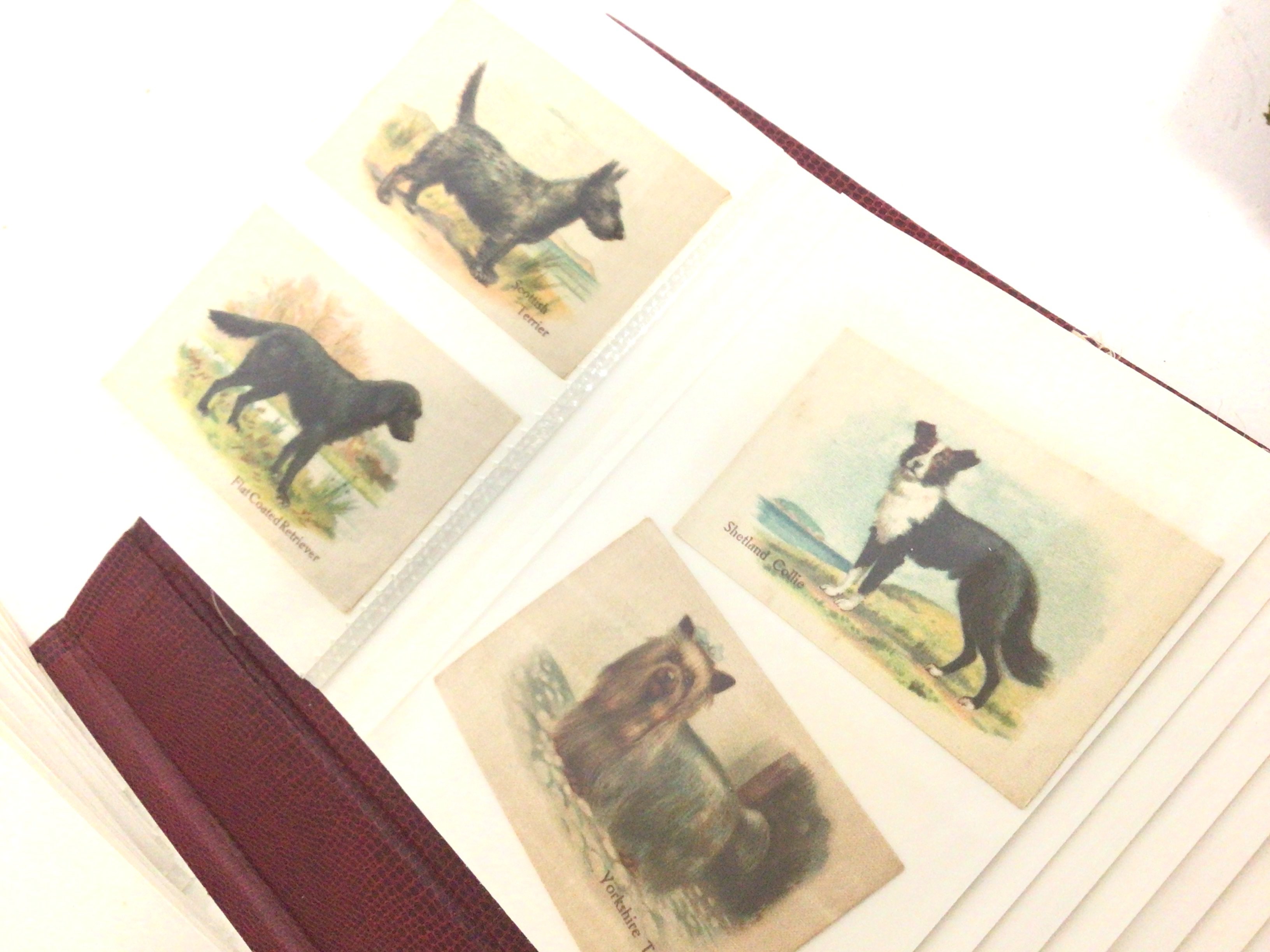 A collection of vintage cigarette cards including - Bild 7 aus 7