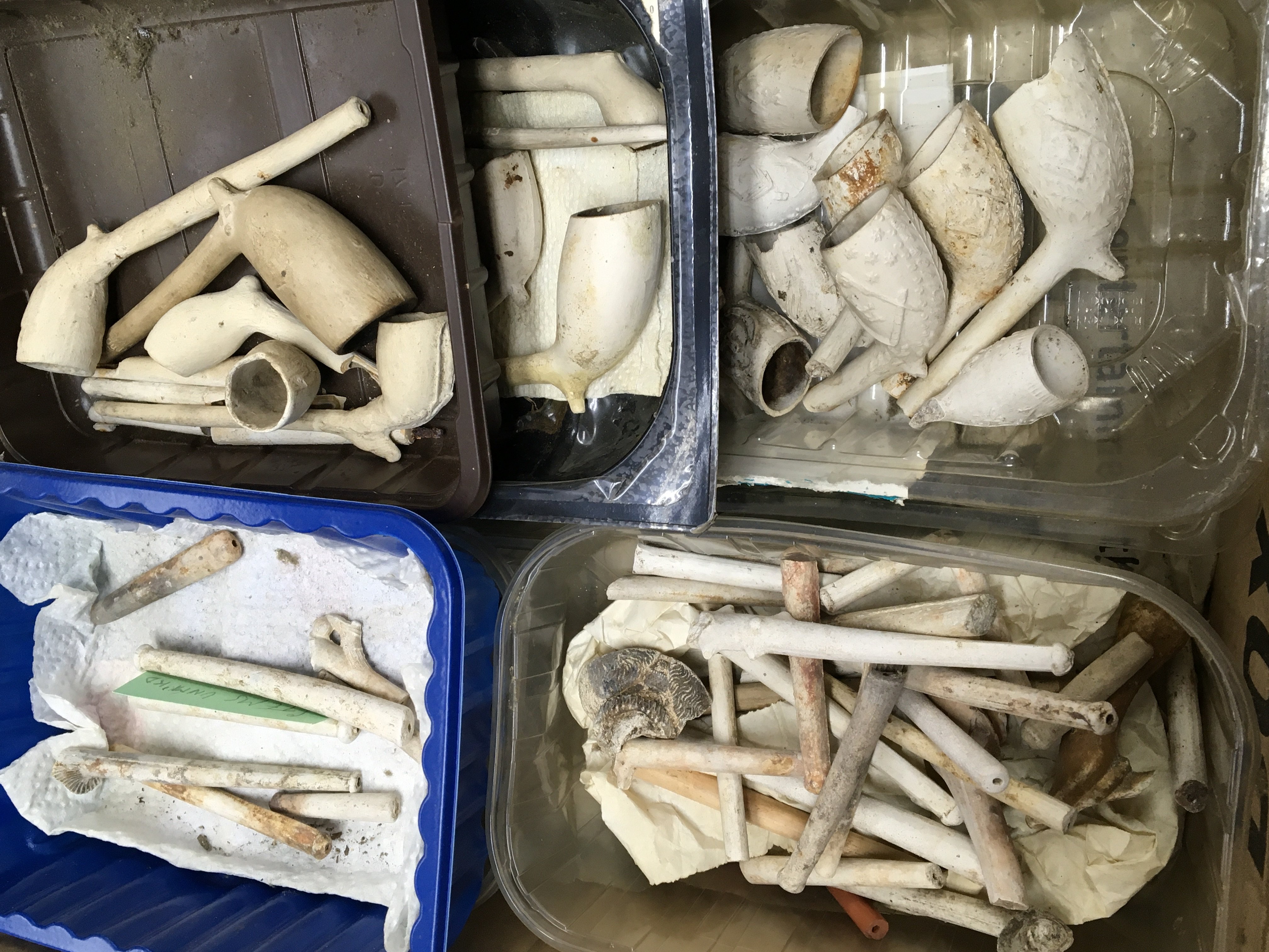 A collection of antique clay pipe fragments small