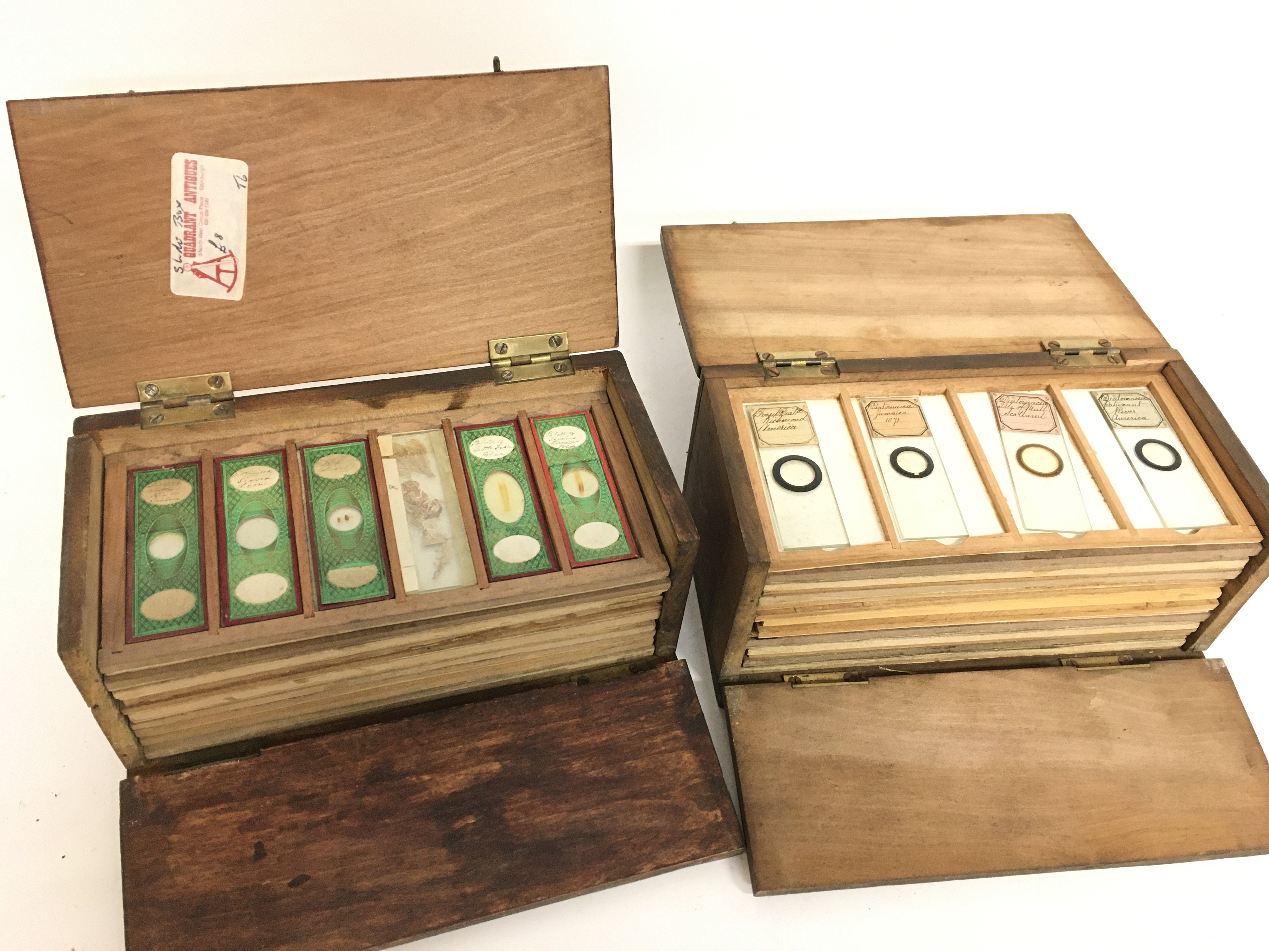 A collection of Victorian Botany and Mineral slide