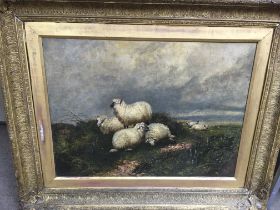 An oil painting study of sheep. Approx 85cmx69cm.