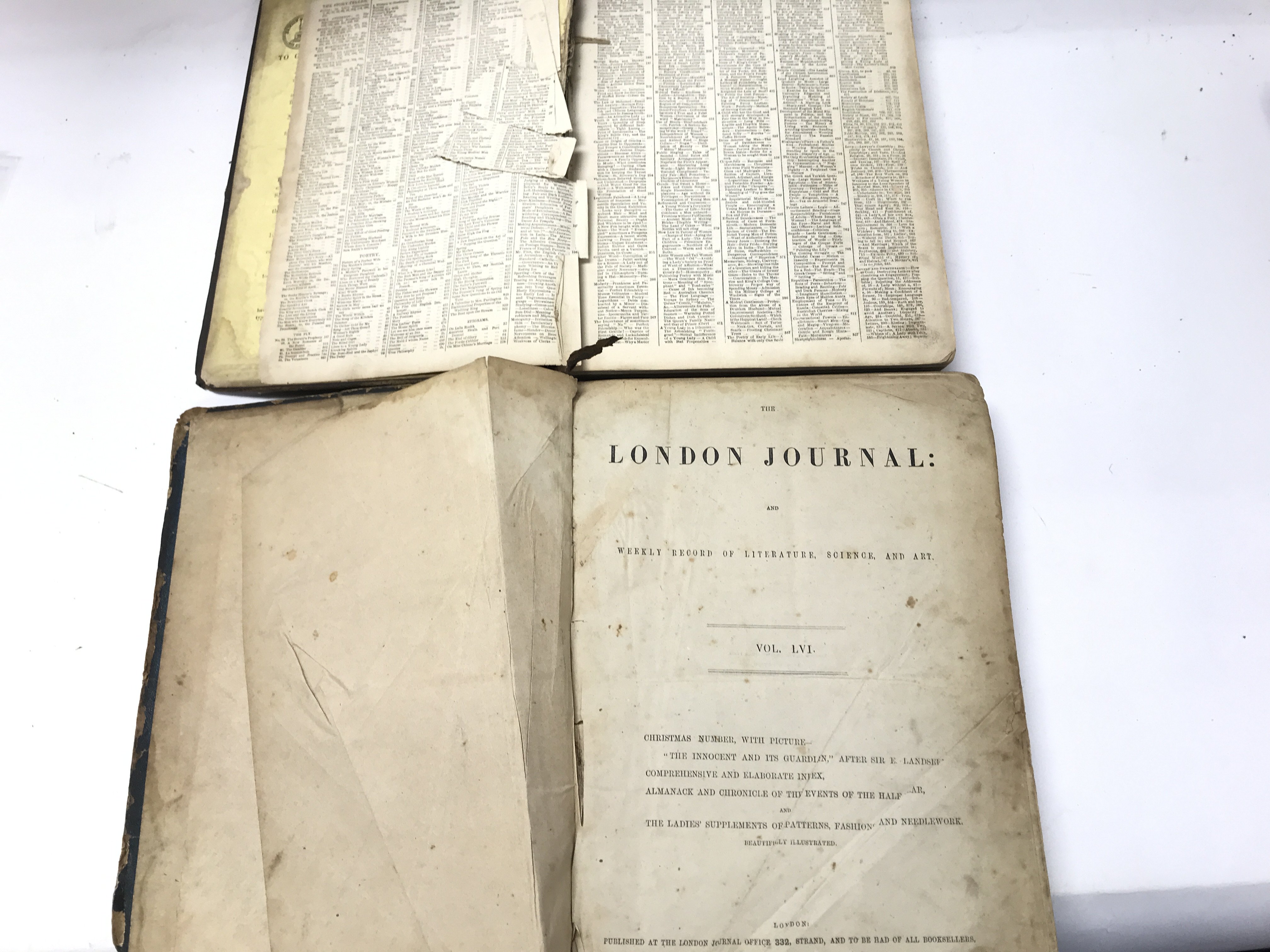 Two Victorian journals in need of restoration.