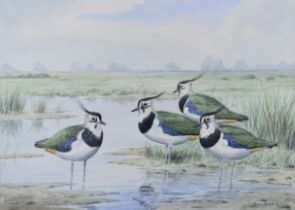John Shepperd watercolour four wading birds in a marsh landscape, signed lower right, 24.5 x 34.5cm,