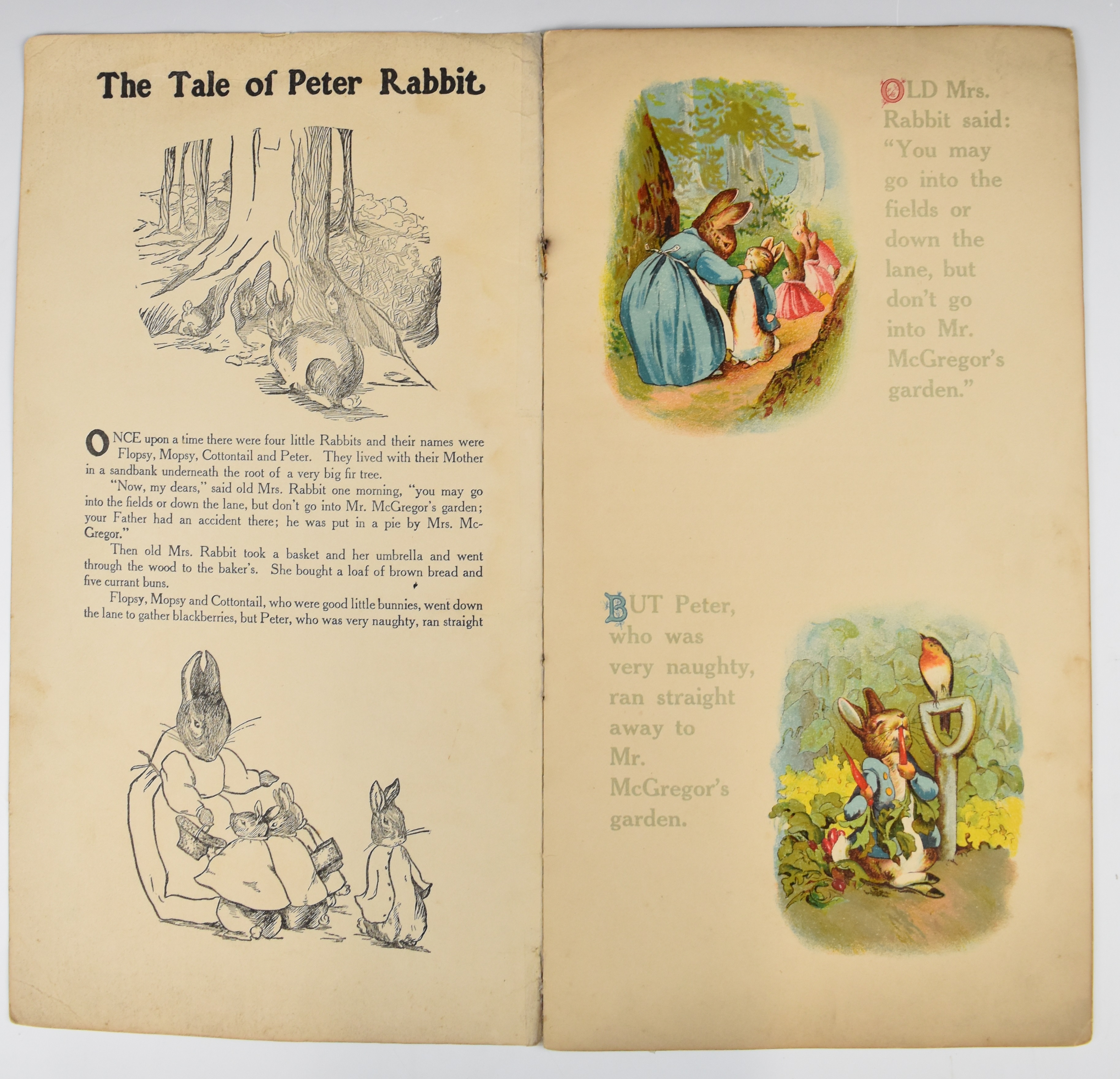 Peter Rabbit illustrated 1913 with a colour cover. The Songs of Peter Rabbit words & music by Dudley - Bild 3 aus 5