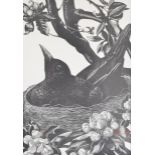 Clare Leighton (1898-1989) woodcut litho Nesting Blackbird 1st edition, 17.5 x 12cm, in gilt and