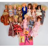 Fourteen vintage Sindy dolls and similar by Pedigree and others.