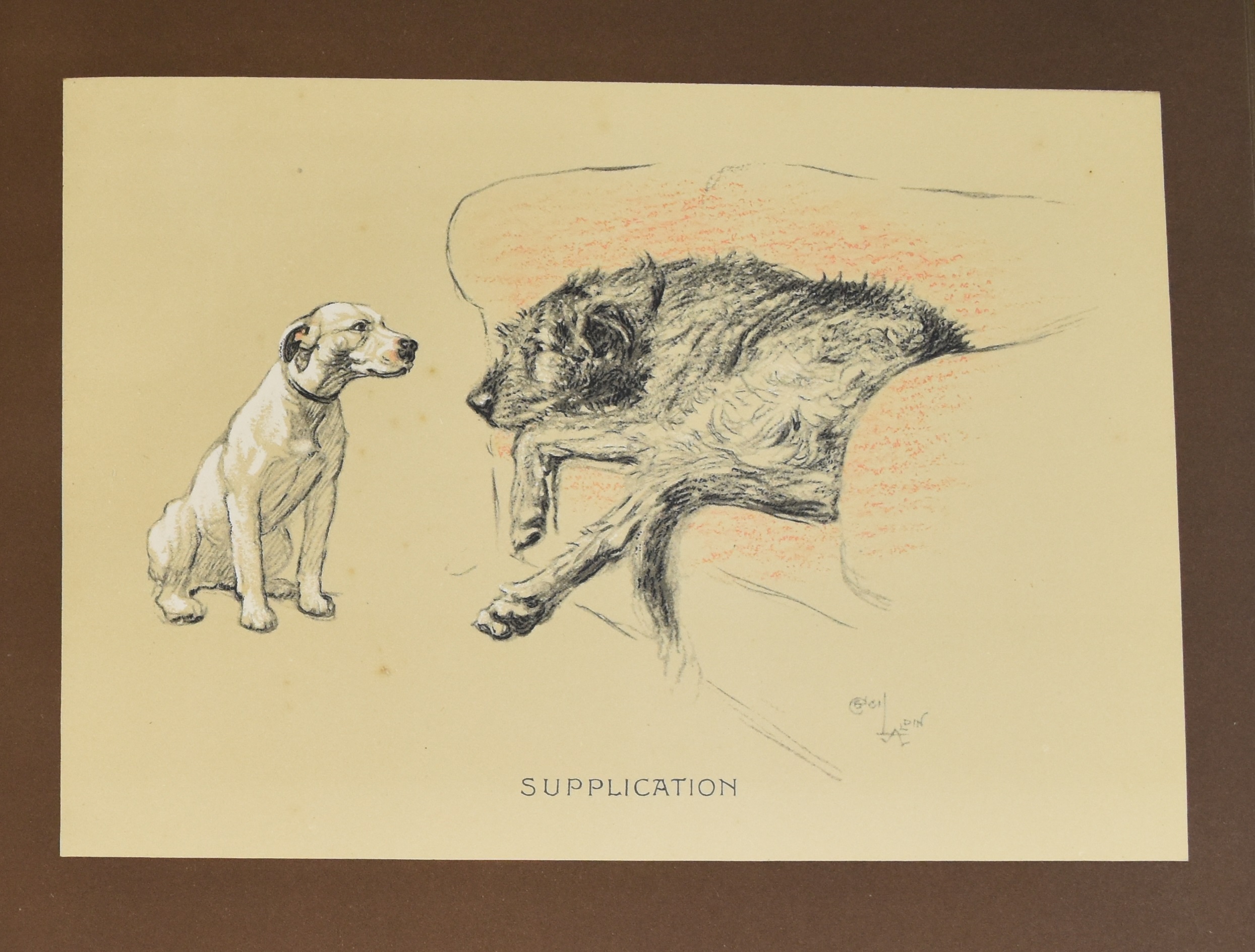 [Dogs] Sleeping Partners A Series of Episodes by Cecil Aldin published Eyre & Spottiswoode (c. - Image 3 of 4