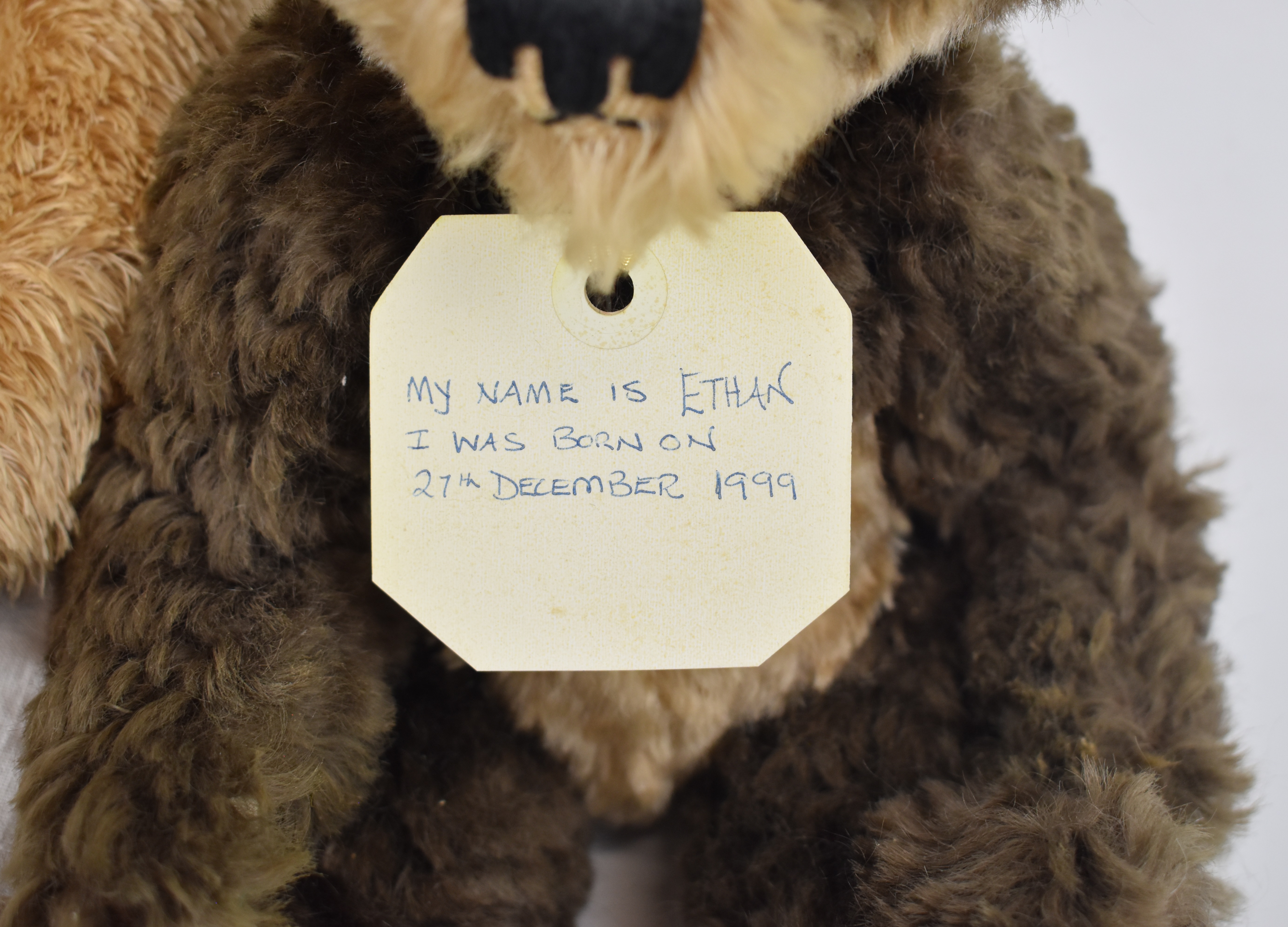 Ten soft bodied plush Teddy bears including USA department store specials, tallest 40cm. - Image 8 of 8