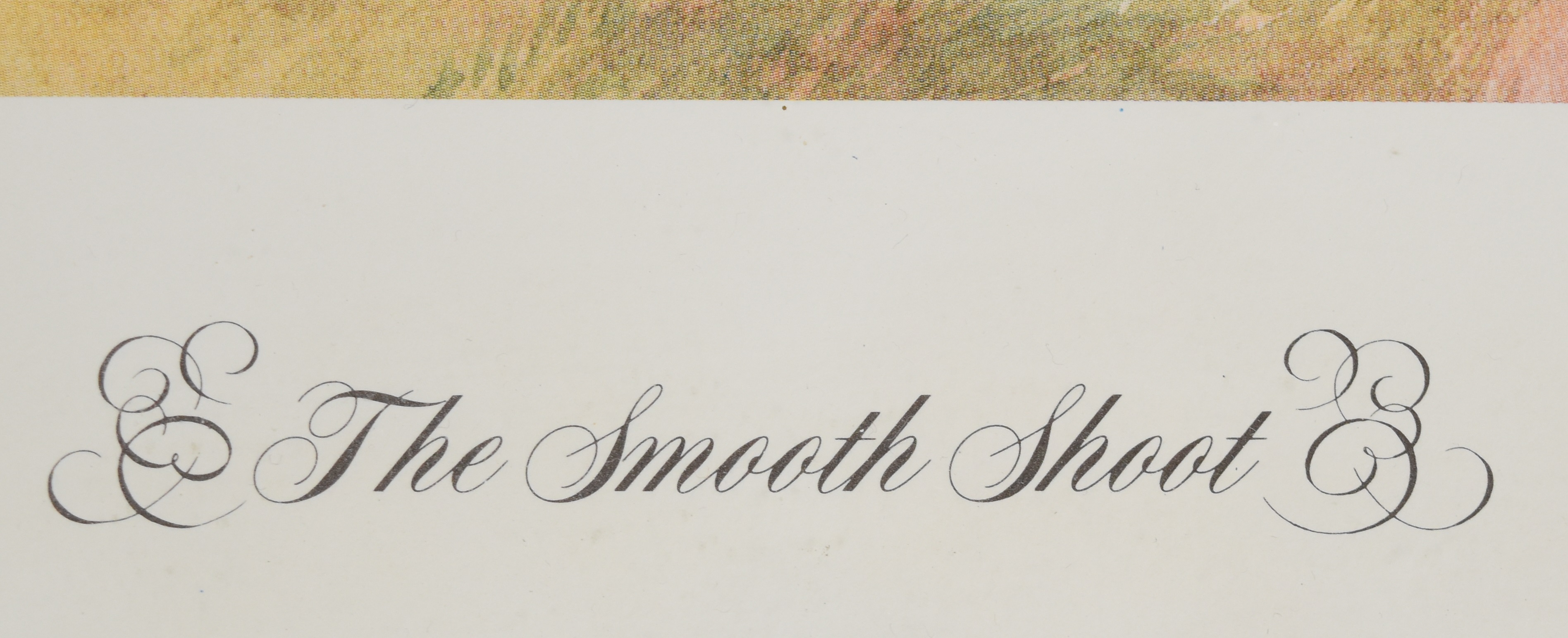 Two Norman Thelwell signed limited edition of 850 prints 'The Smooth Shoot' and 'The Royal Shoot', - Image 3 of 10