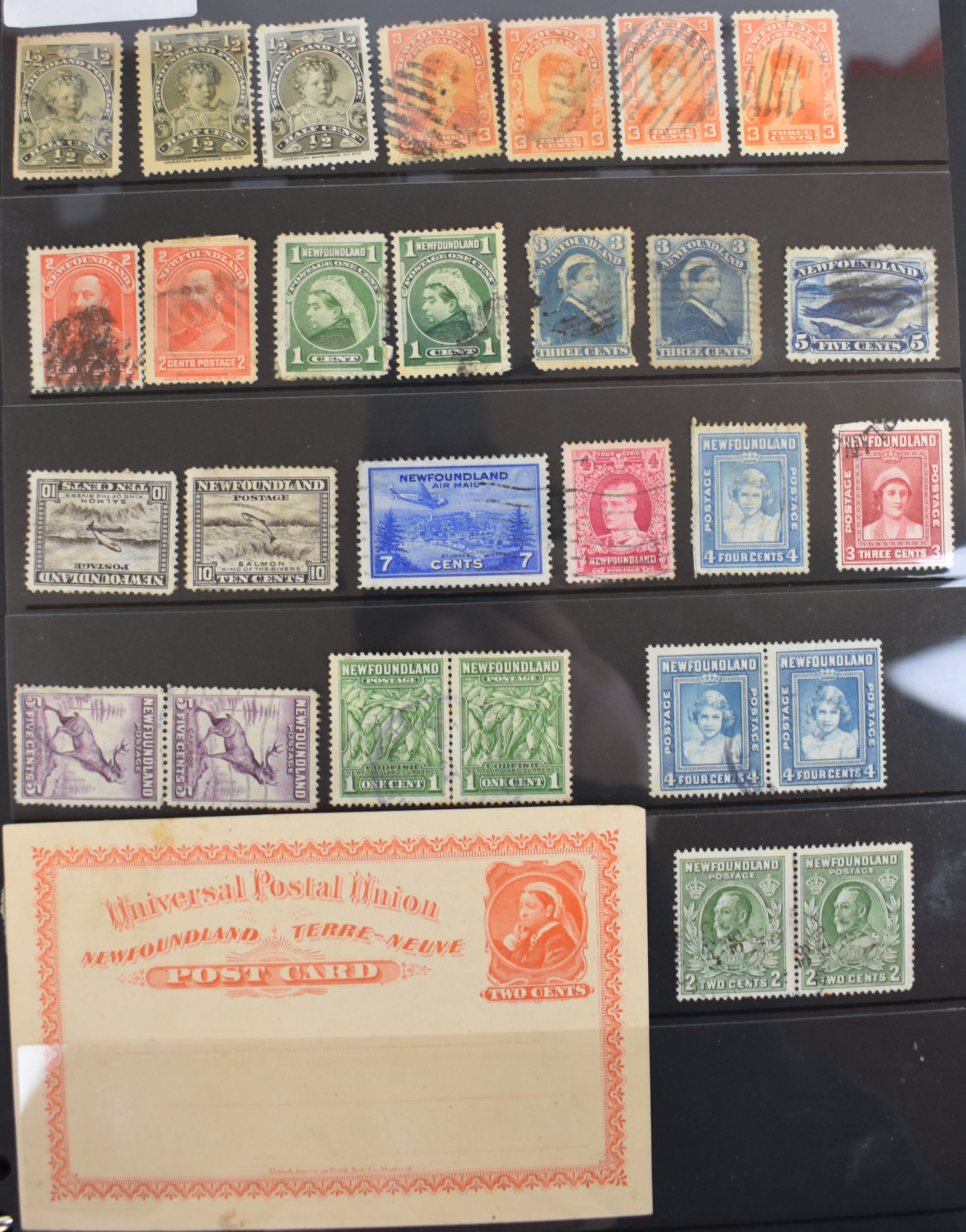 GB Commonwealth and world stamp collection, mint and used including Ceylon, Canada, Germany, - Image 5 of 16