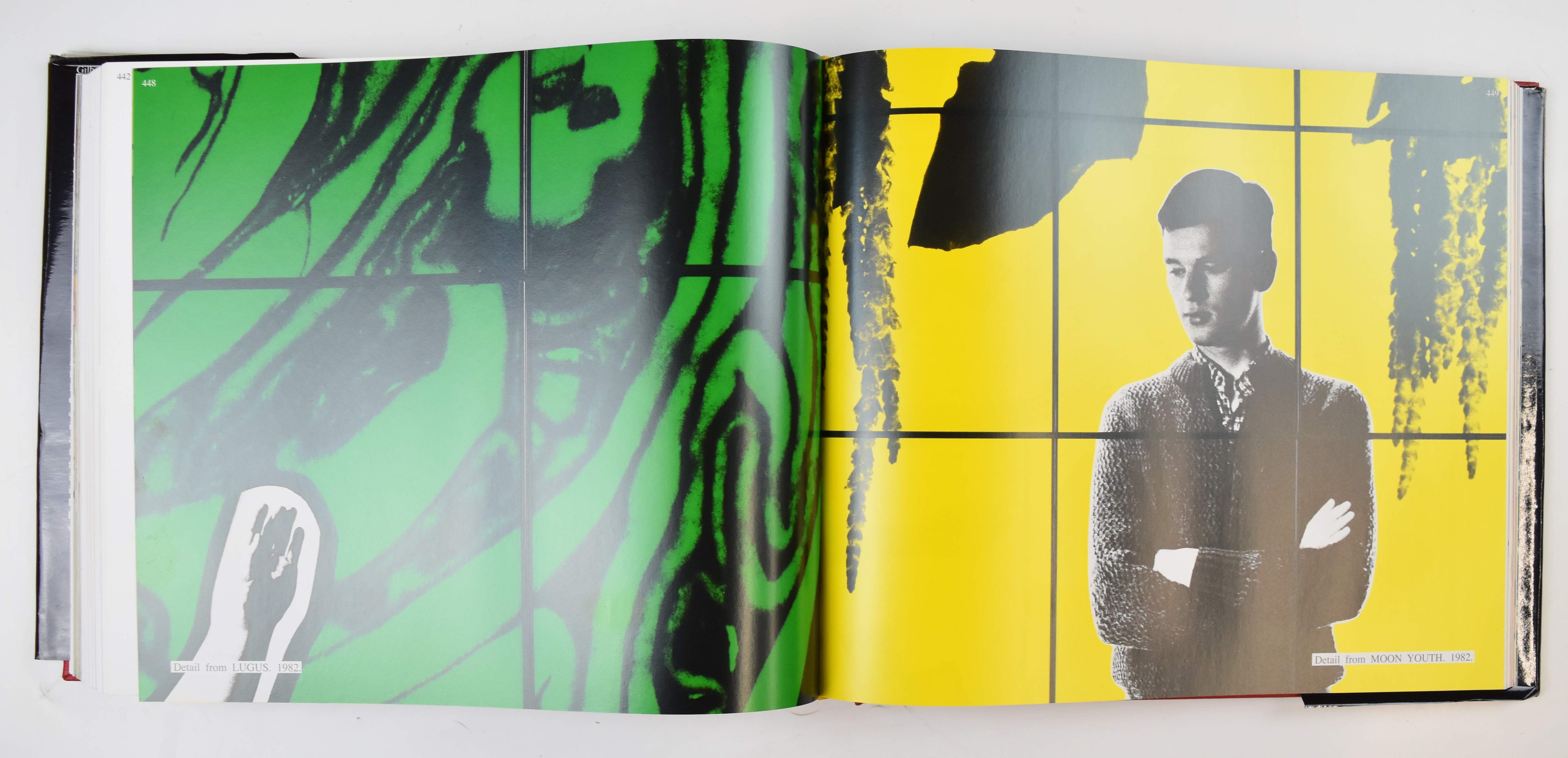 Gilbert & George The Complete Pictures 1971-2005 in 2 volumes with an introduction by Rudi Fuchs, - Image 5 of 5
