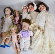 Seven bisque headed dolls to include Armand Marseille and Simon & Halbig, tallest 70cm