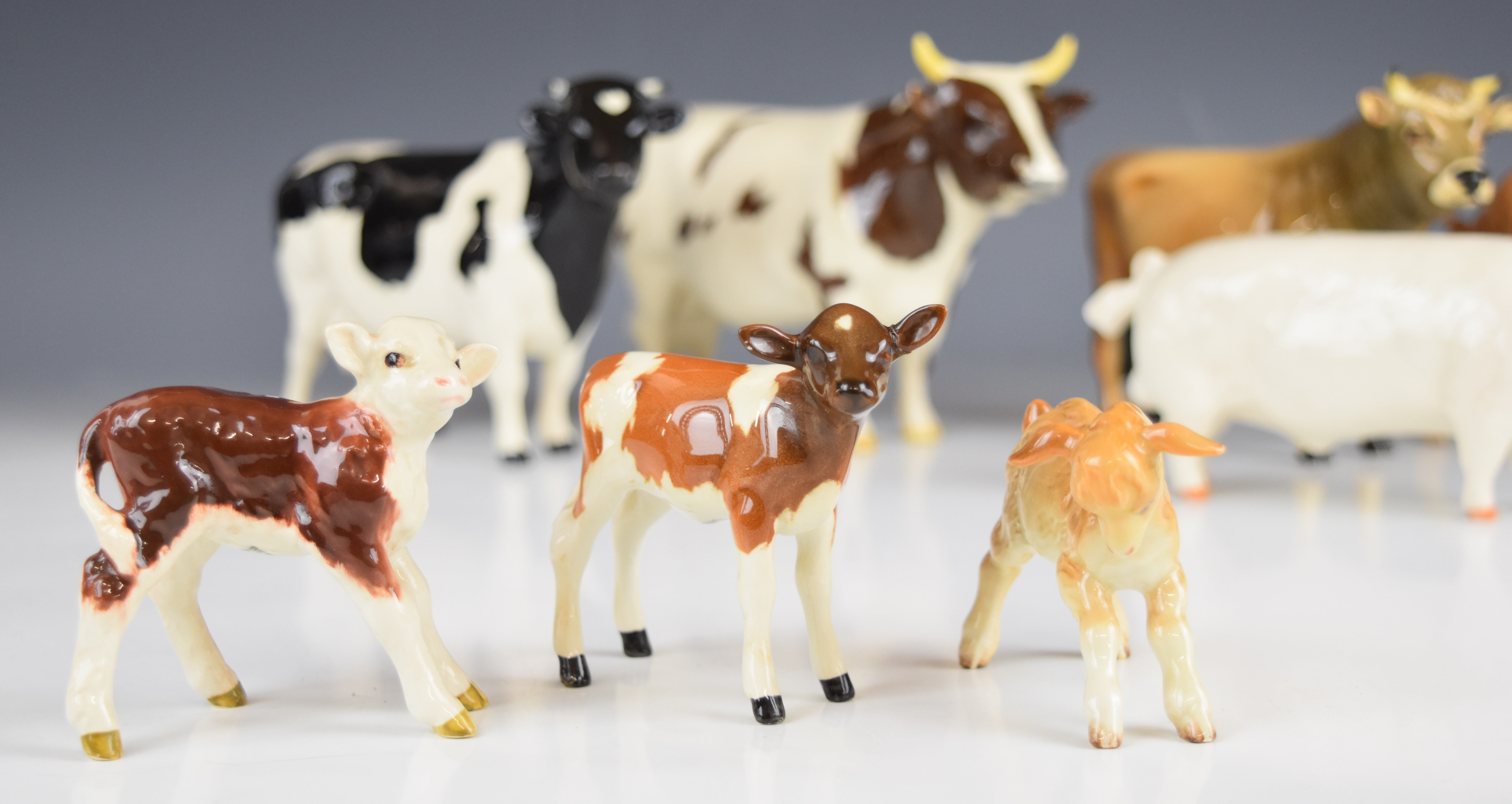 Beswick cattle, goat and pig figures including Hereford, Ayrshire, Jersey and Friesian, tallest - Image 8 of 12