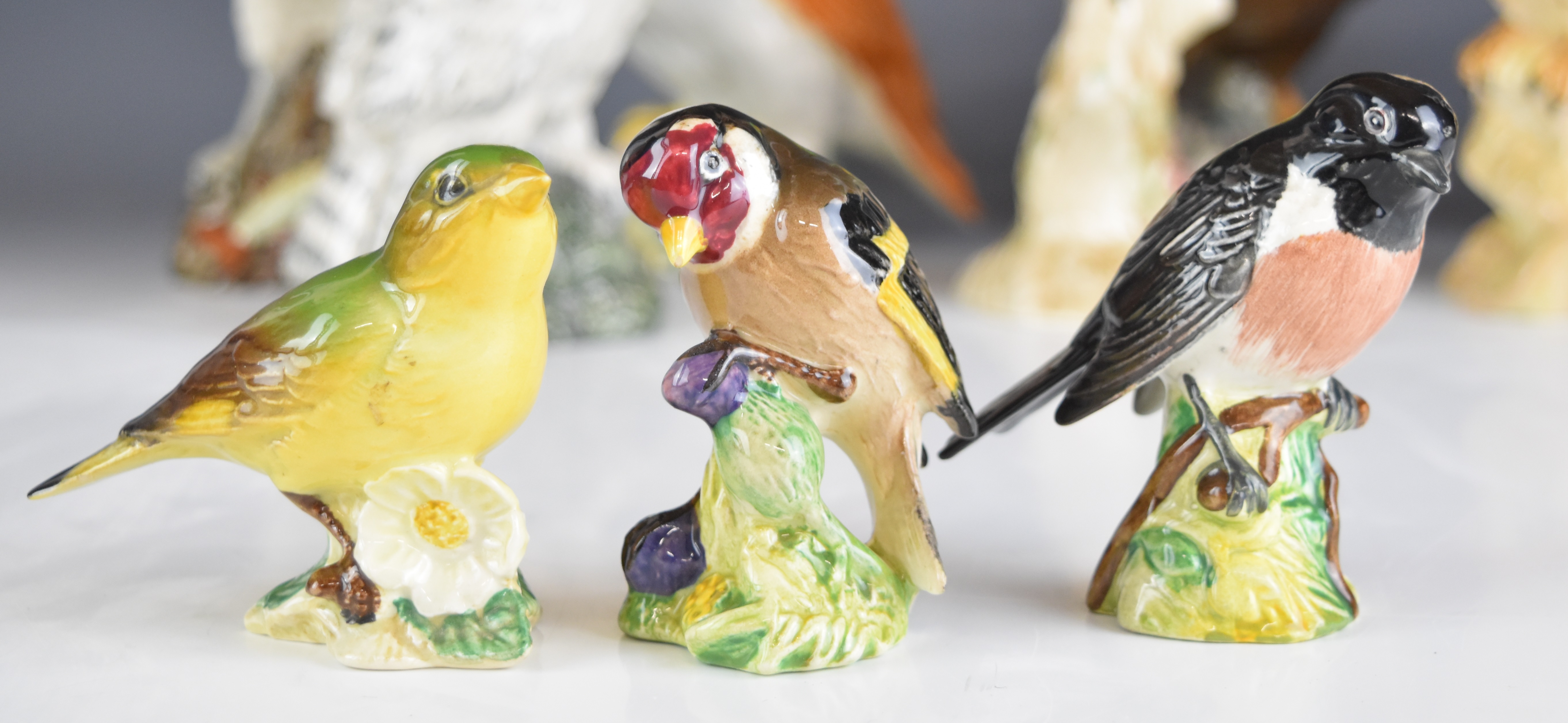 Collection of Beswick bird figures including thrush, kestrel, bald eagle, barn owl, first version - Image 5 of 10