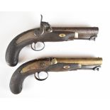 A pair of Wilson & Co of Liverpool 16 bore percussion hammer action coat or holster pistols, each