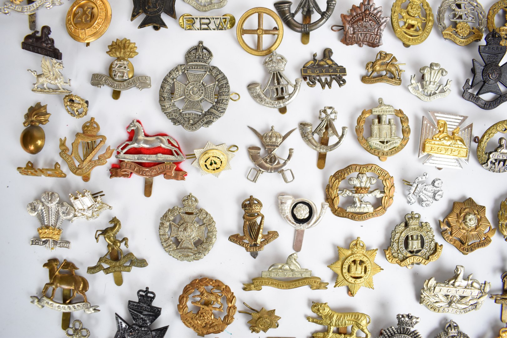 Large collection of approximately 100 British Army cap badges including Royal Sussex Regiment, - Image 12 of 14