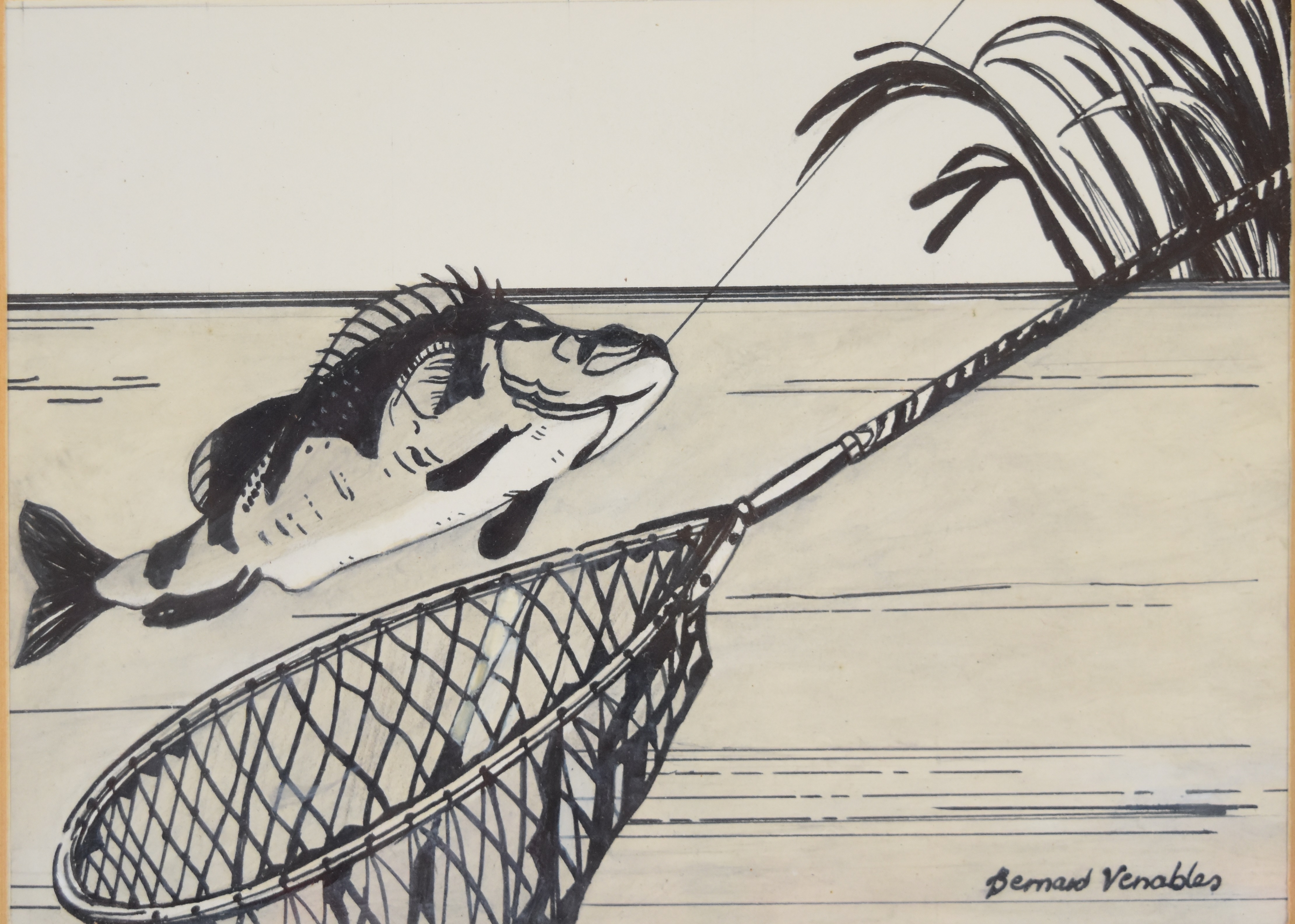 Bernard Venables (1907-2001) two pen and ink studies of fish, one with landing net the other with - Image 2 of 4