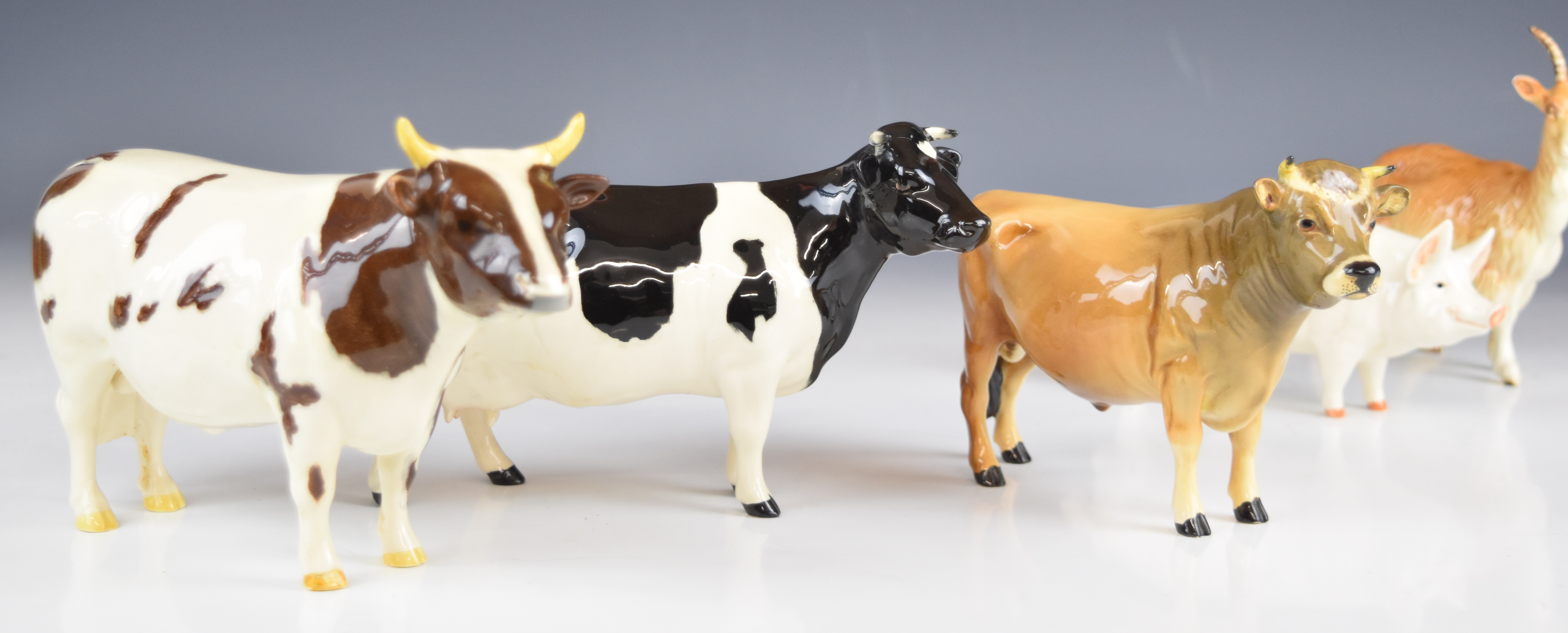 Beswick cattle, goat and pig figures including Hereford, Ayrshire, Jersey and Friesian, tallest - Image 4 of 12