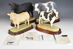 Border Fine Arts, four limited edition figures of bulls comprising Belgian Blue 48/500, Aberdeen