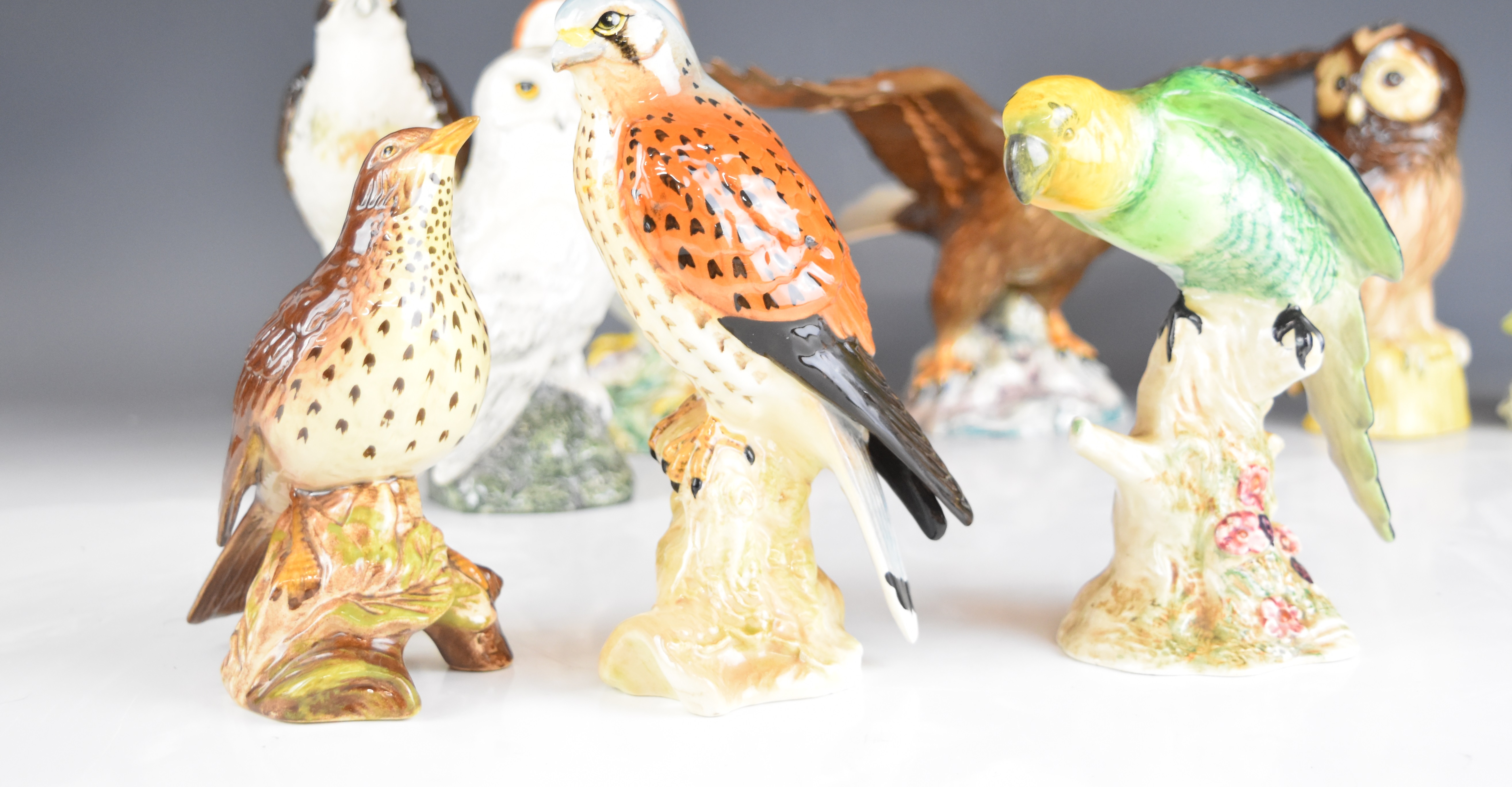 Collection of Beswick bird figures including thrush, kestrel, bald eagle, barn owl, first version - Image 6 of 10