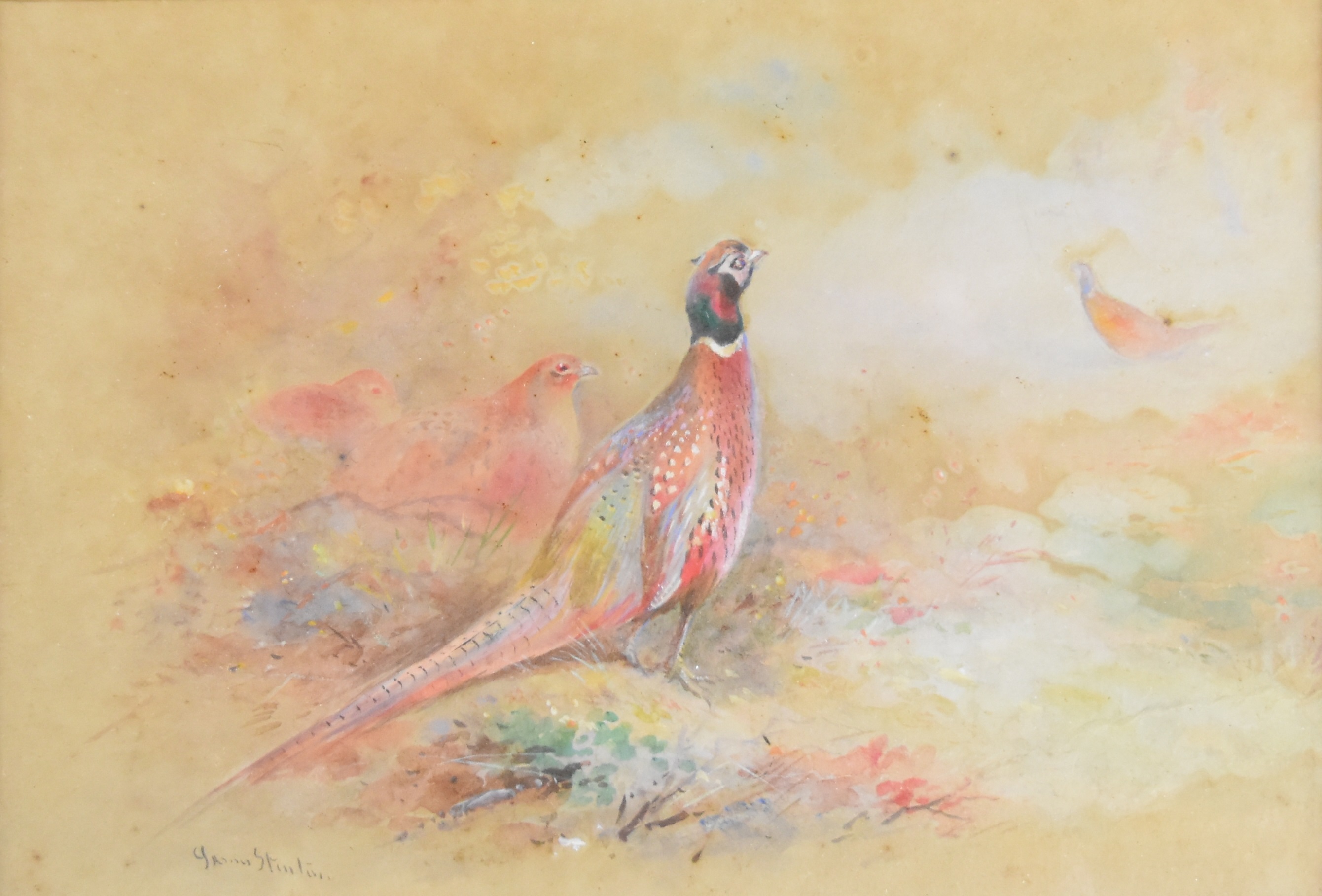 James Stinton Royal Worcester artist watercolour of cock pheasants guarding hens against rivals, - Image 3 of 4