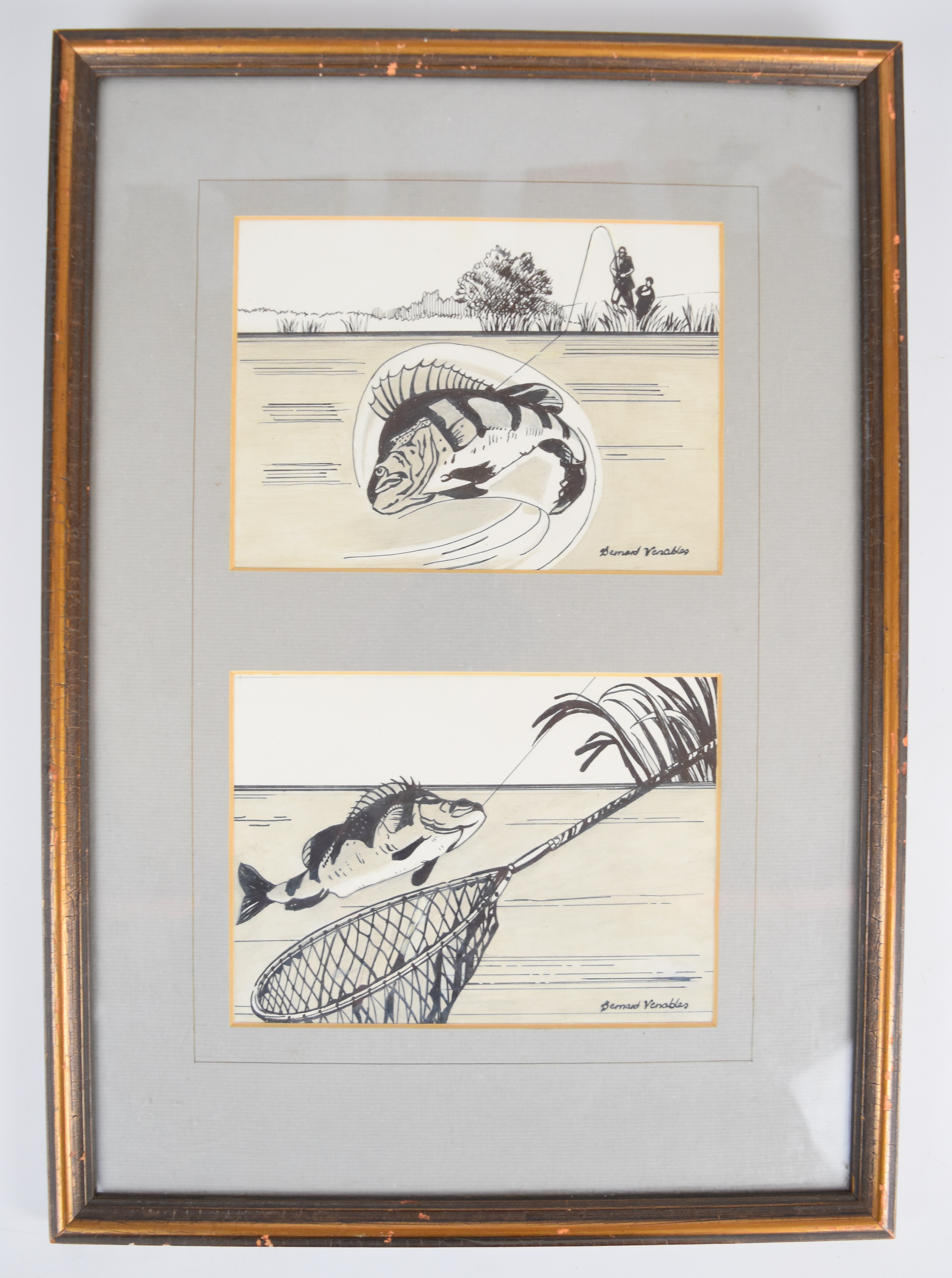 Bernard Venables (1907-2001) two pen and ink studies of fish, one with landing net the other with