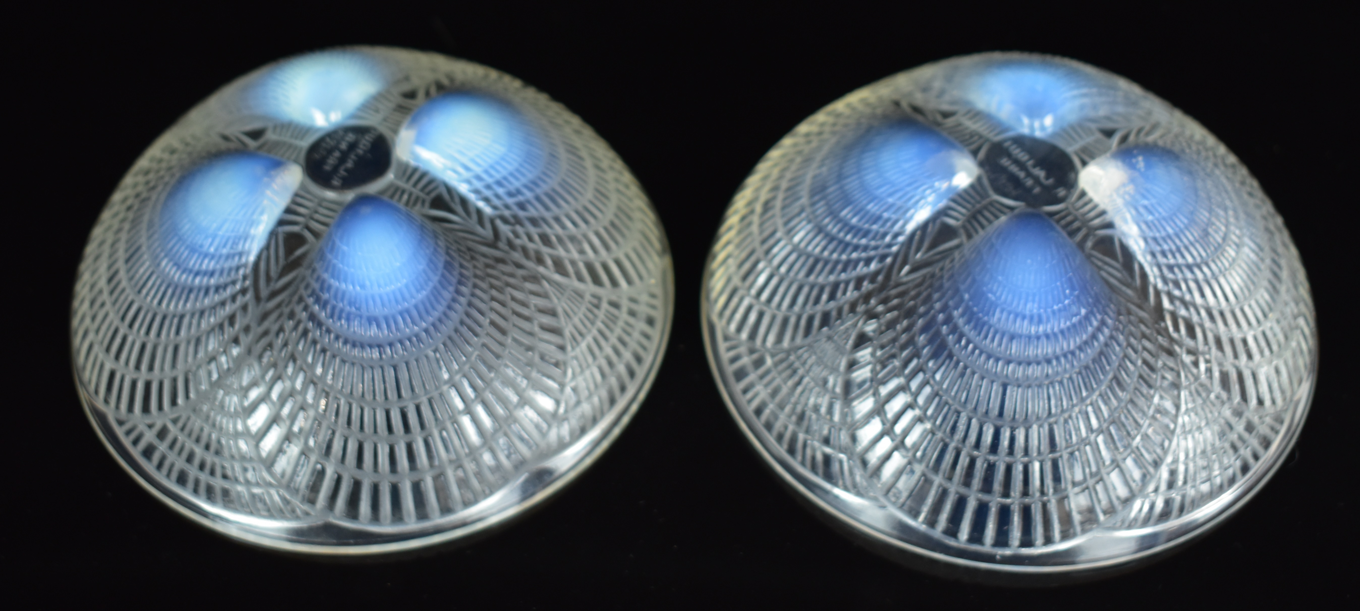 Lalique Coquilles pattern pair of opalescent glass bowls decorated with shells, each 13.3cm in - Image 3 of 14