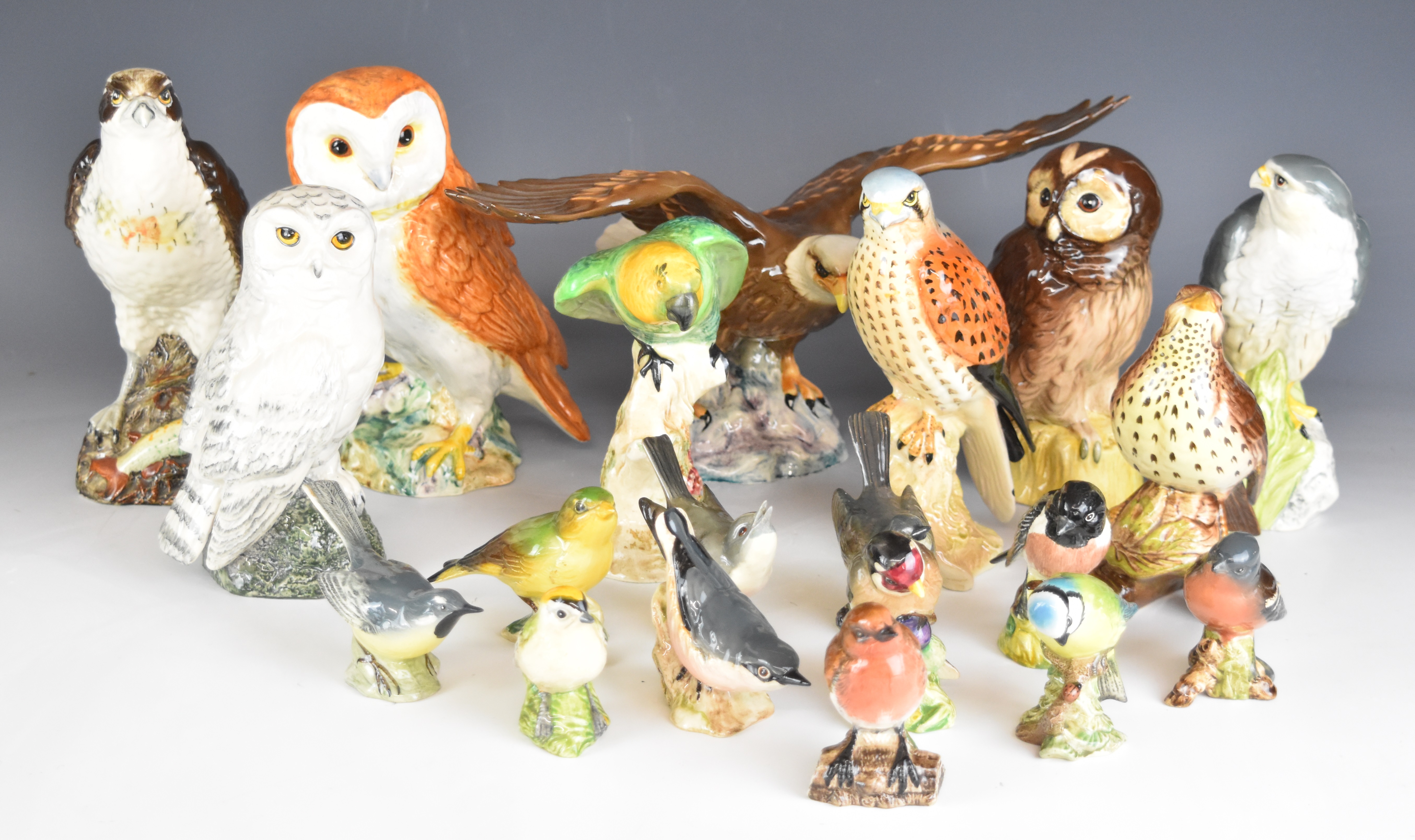 Collection of Beswick bird figures including thrush, kestrel, bald eagle, barn owl, first version