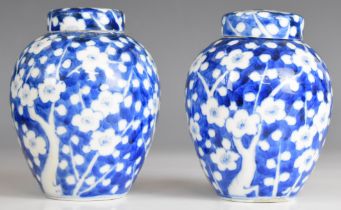 Pair of Chinese covered ginger jars with prunus blossom decoration and character marks to base,