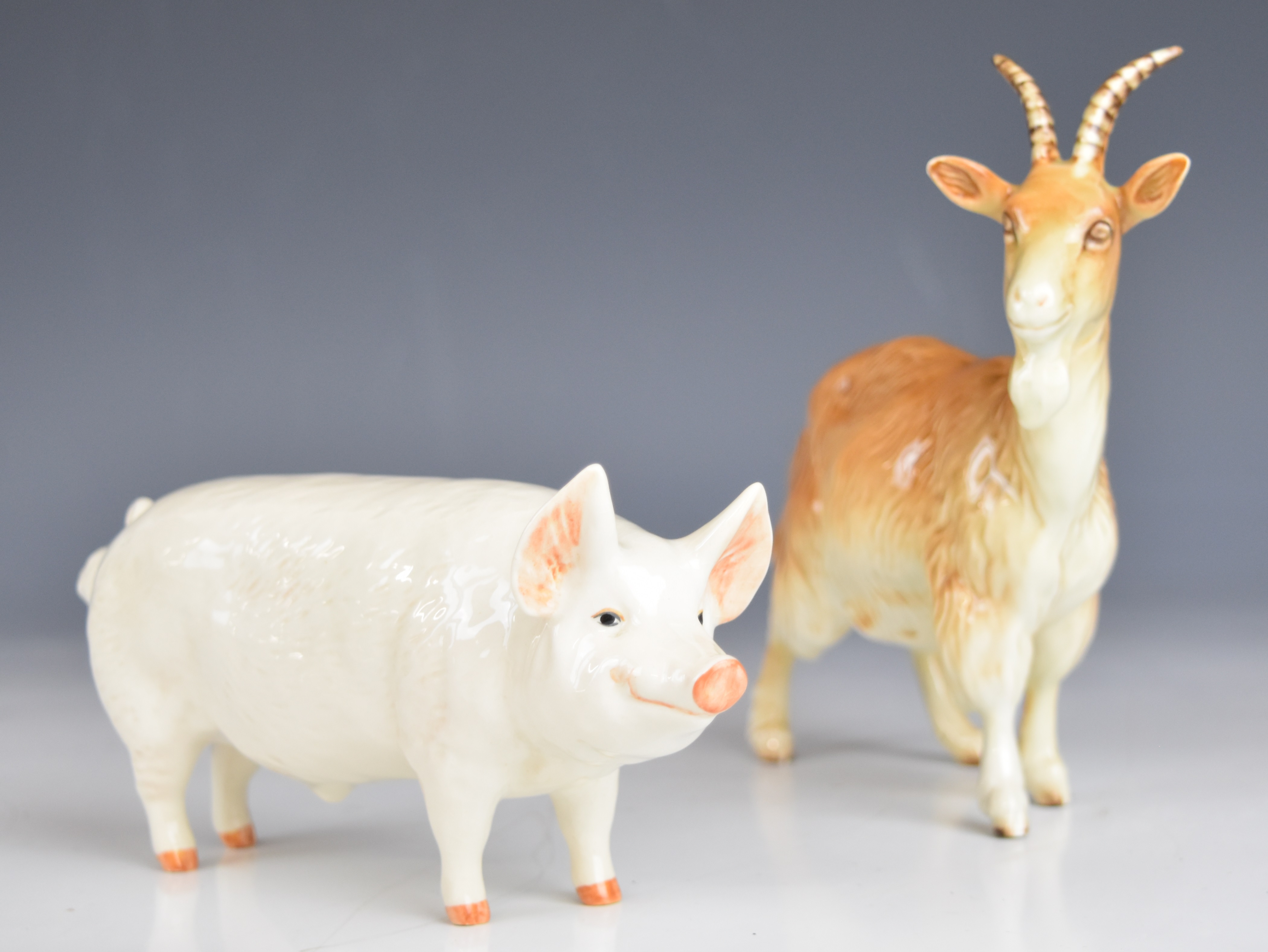 Beswick cattle, goat and pig figures including Hereford, Ayrshire, Jersey and Friesian, tallest - Image 11 of 12