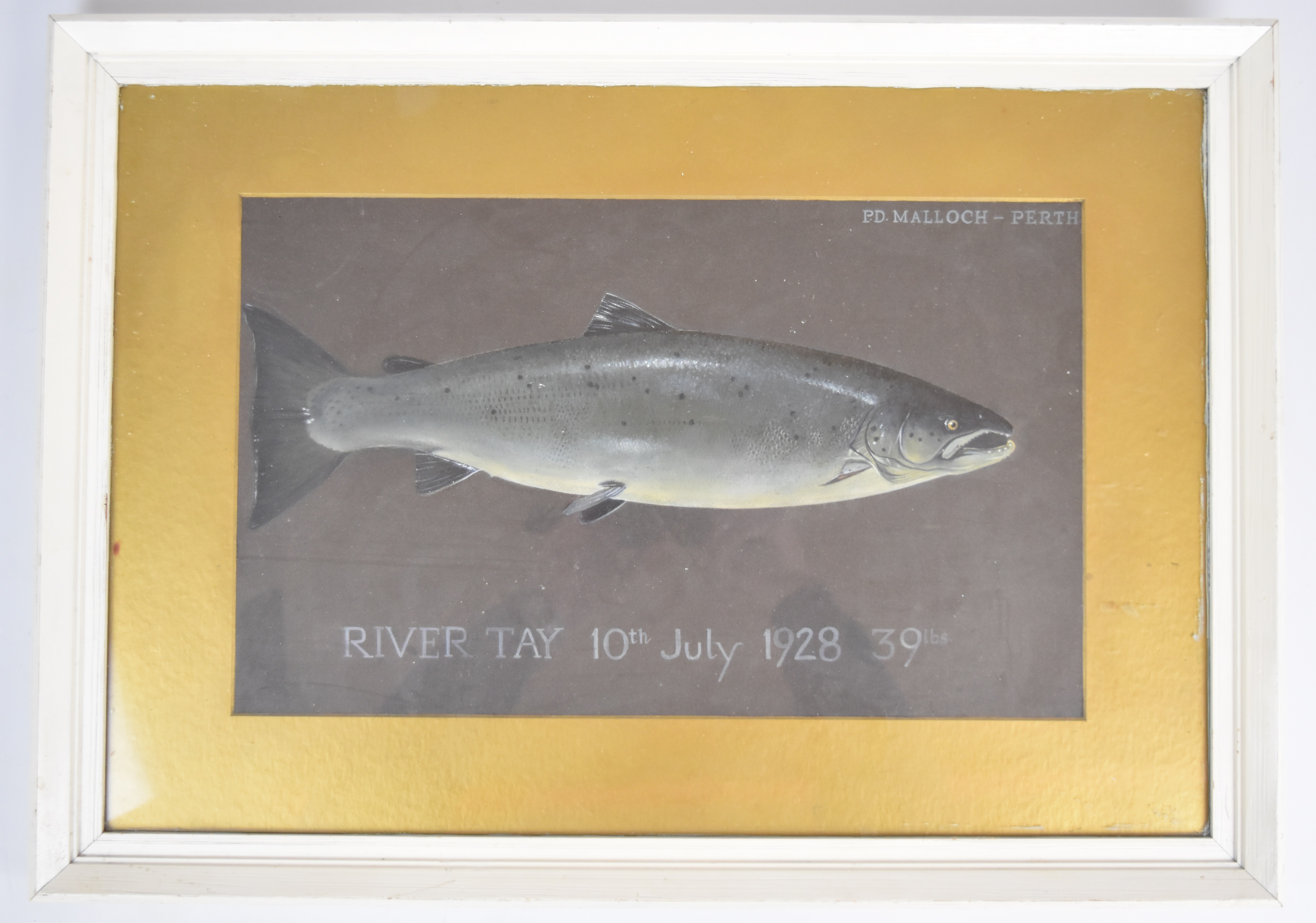 P.D Malloch Perth watercolour study of a trout or similar fish, titled 'River Tay 10th July 1928 - Image 2 of 3