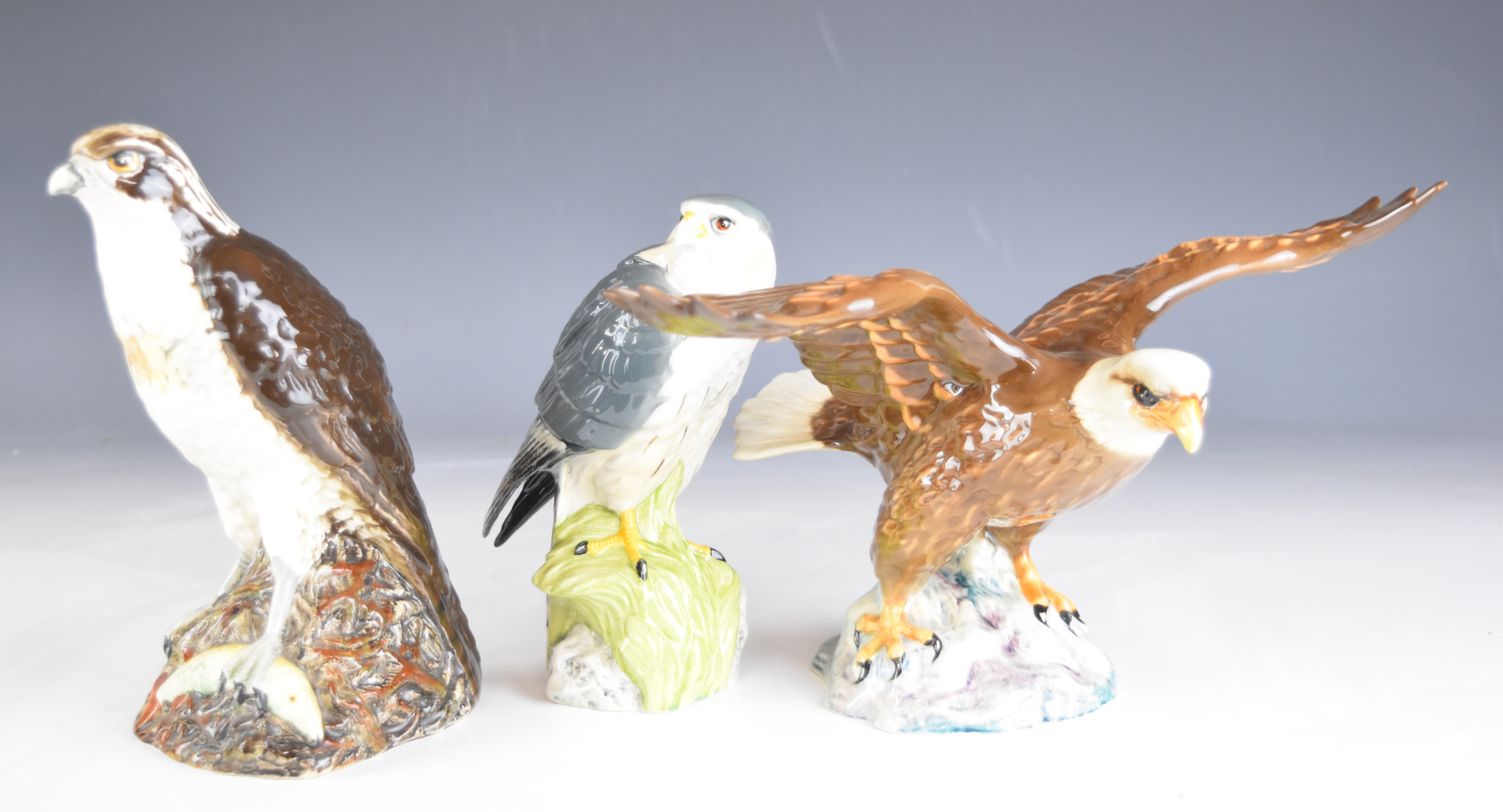 Collection of Beswick bird figures including thrush, kestrel, bald eagle, barn owl, first version - Image 9 of 10
