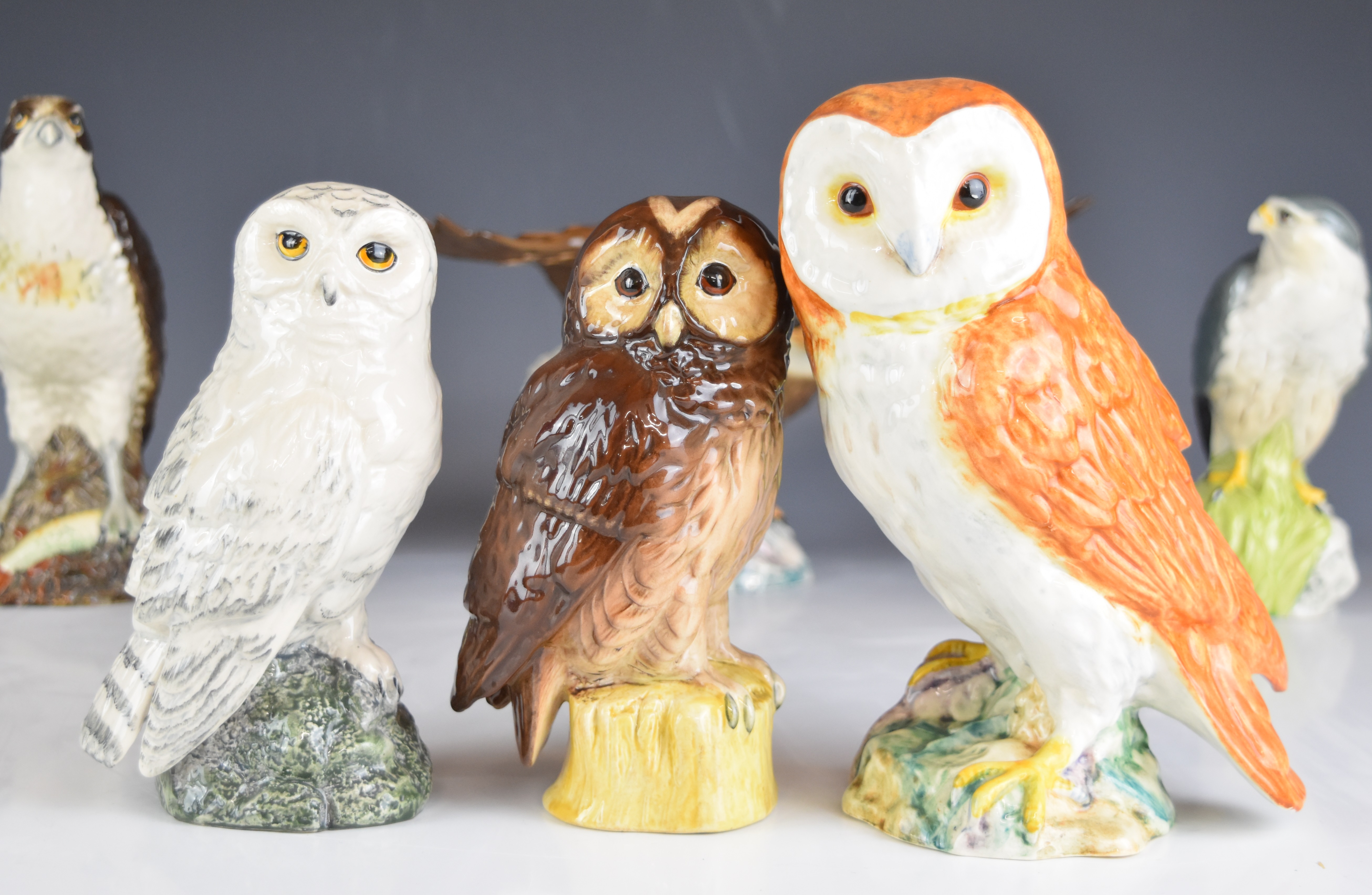 Collection of Beswick bird figures including thrush, kestrel, bald eagle, barn owl, first version - Image 8 of 10