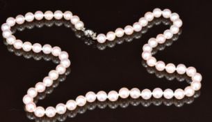 A single strand of cultured pearls with 18k white gold clasp, bought from Beards, Cheltenham, 23.6g,