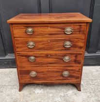 A George III mahogany and line inlaid commode chest, with pottery liner, 64cm wide.