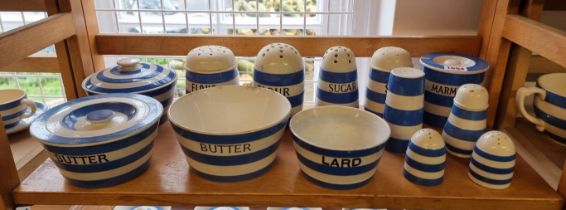 A collection of T G Green & Co Cornishware sifters, castors and related, largest 13cm high. (13)