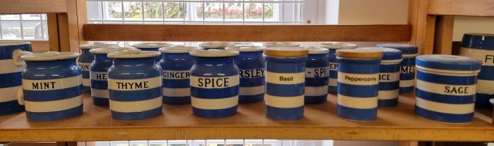 A collection of T G Green & Co Cornishware herb and condiment storage jars and covers. (17)