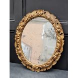 A 19th century carved giltwood framed oval wall mirror, 64 x 54cm.