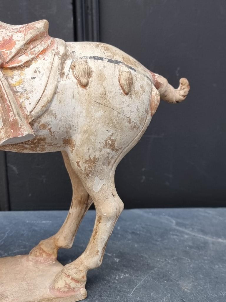 A Chinese Tang style pottery horse, 32cm high, (s.d.). - Image 4 of 9