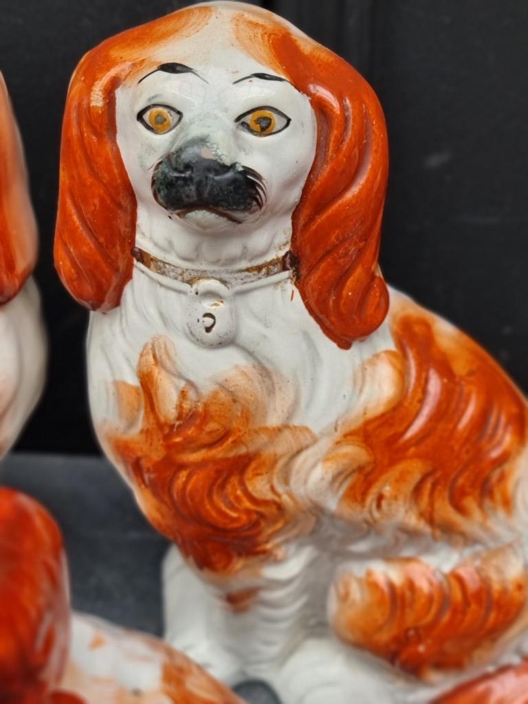 A rare Victorian Staffordshire pottery figure of a standing spaniel on pink cushion, 19.5cm high; - Image 5 of 9