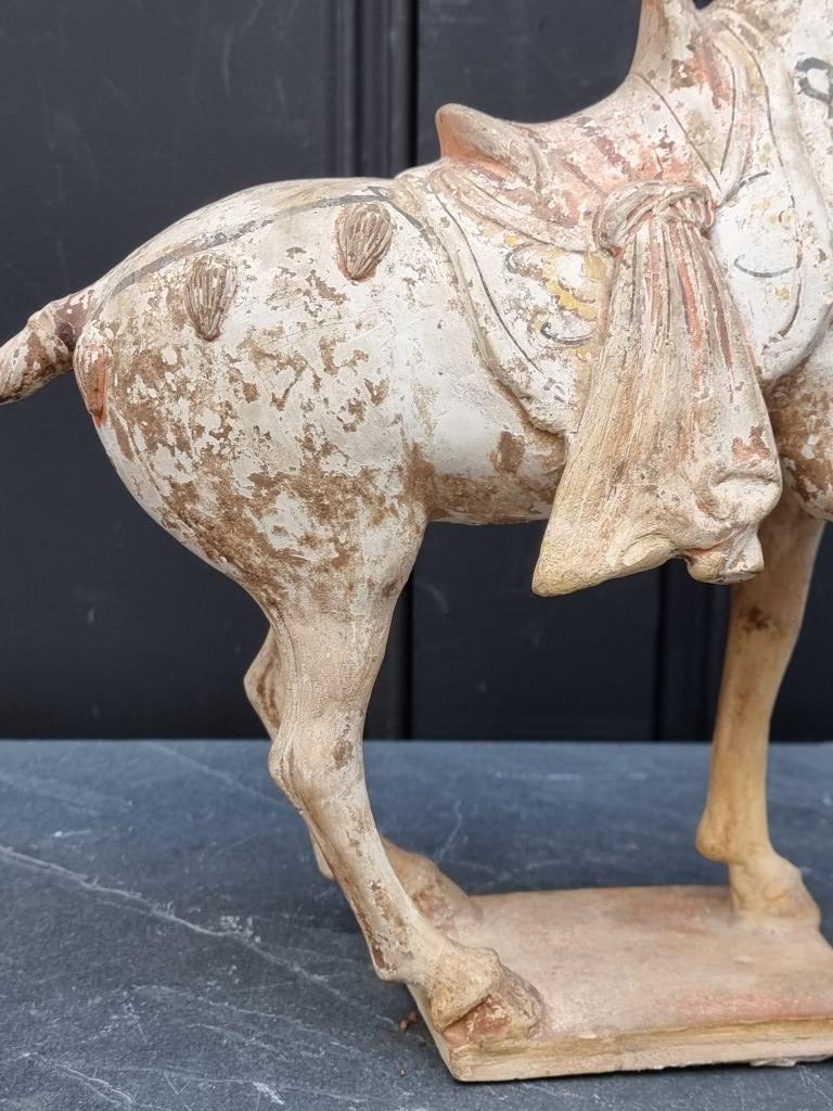 A Chinese Tang style pottery horse, 32cm high, (s.d.). - Image 8 of 9