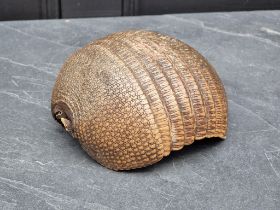 Taxidermy: an Armadillo shell, 20cm long.