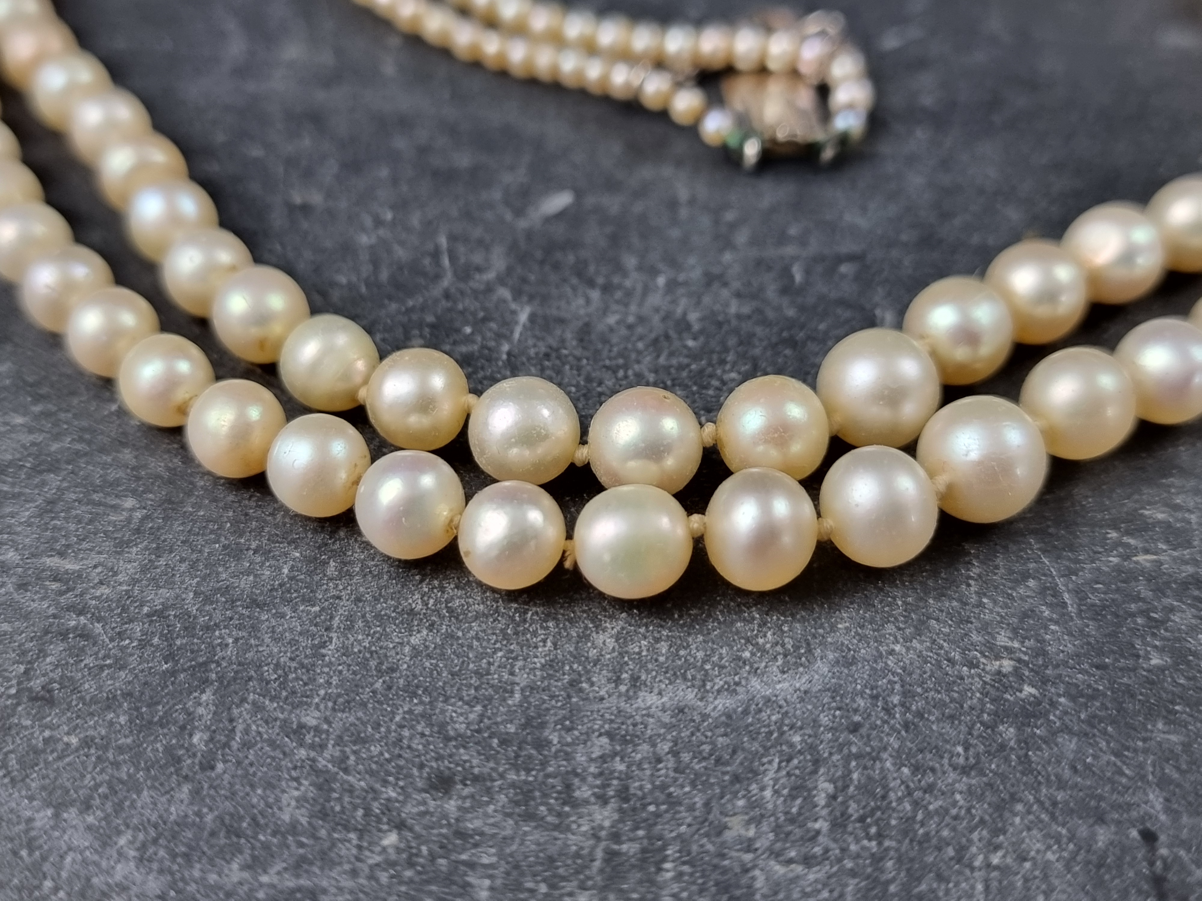 A cased pearl graduated necklace, the clasp stamped '9ct', 43cm long. - Image 3 of 3